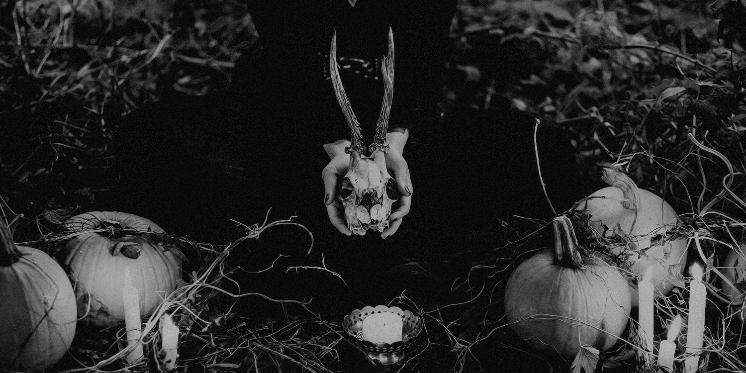 Haunted by the Night Haunted by the Night